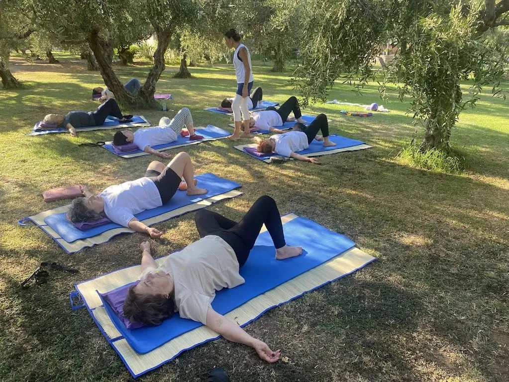 shiluvim on grass 22