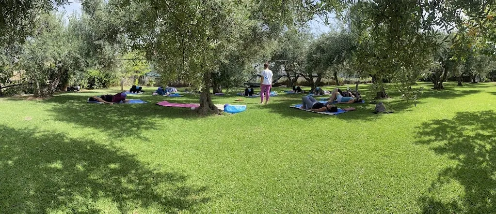 shiluvim on grass 4